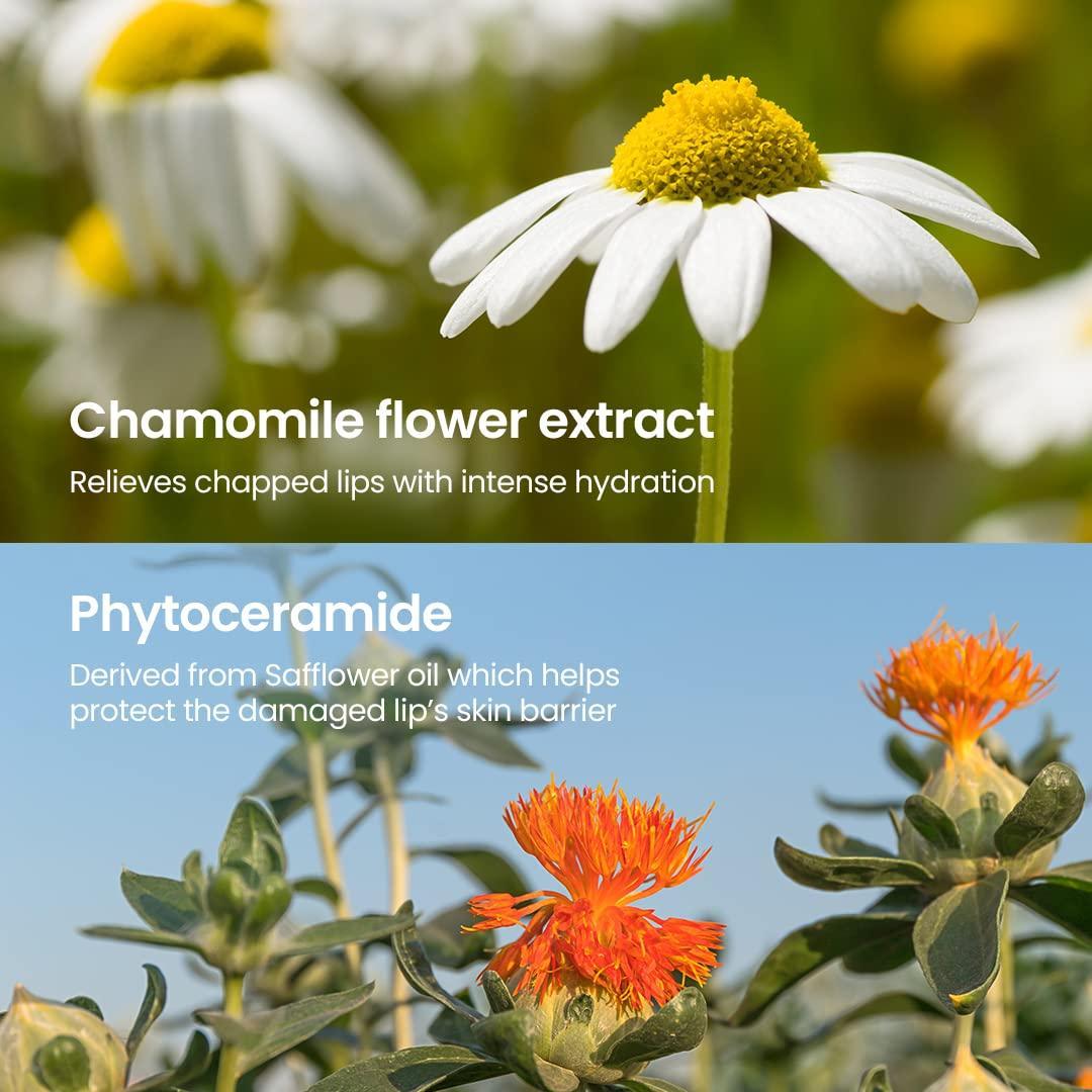 beplain - Chamomile Dual Moisturizing Lip Balm 3.6g