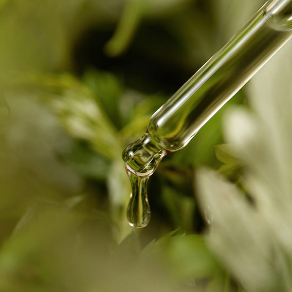 I'm From - Mugwort Serum 30mL
