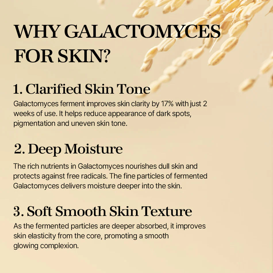 mixsoon - Galactomyces Ferment Essence 100mL